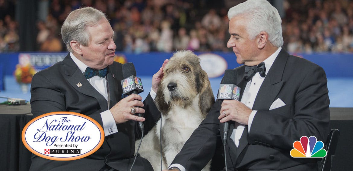 What to Expect at the National Dog Show Pop Culture Press